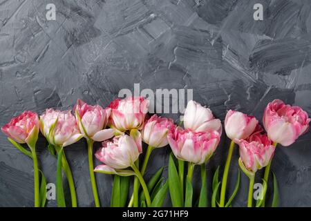 Beautiful pink spring tulips on grey background, flat lay. Space for text Stock Photo