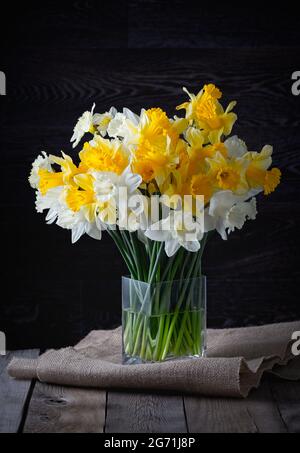 Fresh spring bright yellow daffodils flowers in a glass vase on dark background. Copy space. Stock Photo