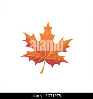 maple logo exclusive design inspiration Stock Vector