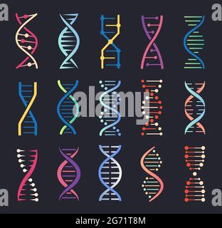 Dna helix icons. Gene spiral molecule structure, human genetic code, chromosome chain logo. Genetics science, biochemistry icon vector set. Laboratory or clinic research, medical testing Stock Vector