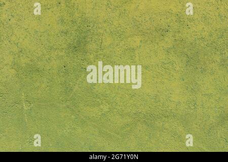 texture green plaster background ready for your architectural design Stock Photo