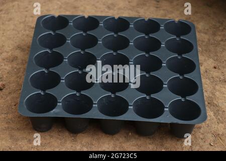 Empty and new seedling tray used as growing trays for seeds. Germination tray or nursery tray kept on ground with empty slots for soil filling Stock Photo
