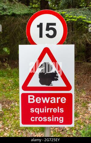 Beware squirrels crossing sign in gardens, Balmoral Castle and Gardens, Royal Deeside, Aberdeenshire, Scotland, United Kingdom Stock Photo