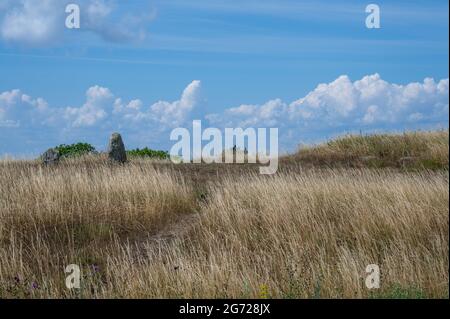 Characteristic landscape on Swedish Baltic Sea island Öland. Stock Photo