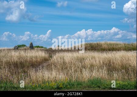 Characteristic landscape on Swedish Baltic Sea island Öland. Stock Photo