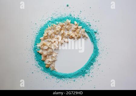 Floral beige half moon shaped composition inside turquoise colored powder circle on white background Stock Photo