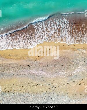 Human and dog footprints on a sandy shore along the sea with breaking waves, aerial vertical shot directly above Stock Photo