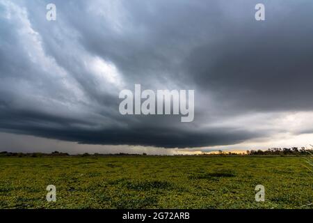 big storm over a little lagoon covered with water plants and dark sky in San Vicente, Buenos Aires Stock Photo