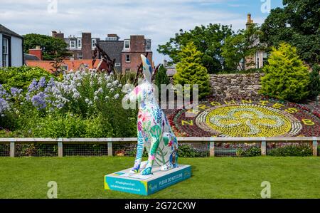 North Berwick, East Lothian, Scotland, UK, 10th July 2021. The Big Hare Trail: the trail starts today and will last for 11 weeks with 10 giant hand painted hare sculptures, each by a different artist, located around the seaside town. It is organised by Leuchie House, a respite charity for people with neurological disorders. Pictured: a hare painted by Rosie Watson in Lodge Grounds park Stock Photo