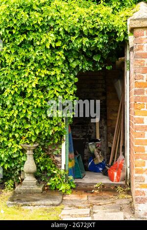 Old neglected shed door example Stock Photo