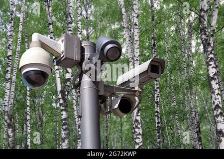 Many CCTV cameras on the background of a birch grove. Big brother concept. Face recognition. No privacy. Stock Photo