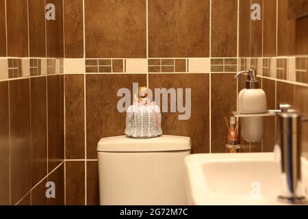 Toilet Doll, a Barbie doll with crochet dress over a toliet roll Stock Photo