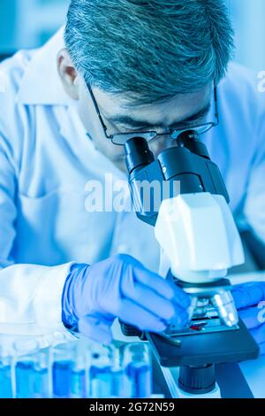 Doctor or researcher wearing eyeglasses and blue medical glove concentrate looking to a microscope during working in lab. Stock Photo