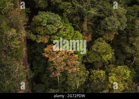 jungle. great tourist view point on langkawi cable car top station. ocean and mountains Stock Photo