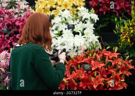 East Molesey, Surrey, UK. 8th July, 2021. Face masks and flowers in the Floral Marquee at the RHS Hampton Court Palace Garden Festival. Guests were required to provide a negative Covid-19 test or proof of their double Covid-19 jabs before being allowed entry to the festival. Credit: Maureen McLean/Alamy Stock Photo