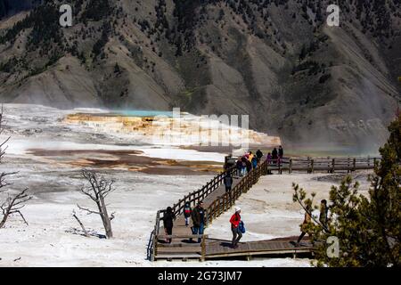 Yellowstone, Wyoming, USA, May 24, 2021: Tourist on the boardwalk at Mammoth Hot Springs, horizontal Stock Photo