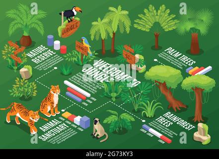 Isometric jungle horizontal composition with flowchart graphs and text captions with exotic plants and wild animals vector illustration Stock Vector
