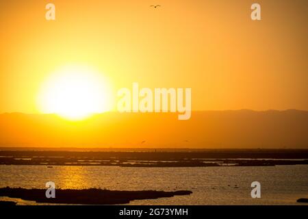 Sunset behind mountains, over wetlands. Large low sun, orange sky, silhouettes of birds in flight and of islands in the mashes. Stock Photo