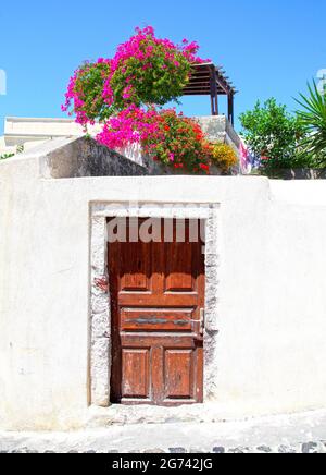 White walls with pink bougainvillea flowers above, in the traditional village of Megalochori in Santorini, Greece Stock Photo