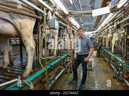 Klein Mutz, Germany. 06th July, 2021. Andreas Paries, farmer, stands in the milking shed with Holstein dairy cows. Since the beginning of the year, the farm he runs with his mother and brother has been an organic farm. The hunger for organic food among consumers in Berlin and Brandenburg is great. The demand can hardly be met. For the farmers, there are better returns with organic products. But the conversion initially costs energy. Credit: Patrick Pleul/dpa-Zentralbild/ZB/dpa/Alamy Live News Stock Photo