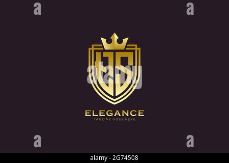 TS elegant luxury monogram logo or badge template with scrolls and royal crown - perfect for luxurious branding projects Stock Vector