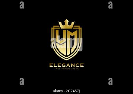 VM elegant luxury monogram logo or badge template with scrolls and royal crown - perfect for luxurious branding projects Stock Vector