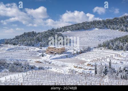 Snow-covered vineyards near La Morera de Montsant village, in the Priorat DO (designation of origin) (Priorat, Tarragona, Catalonia, Spain) Stock Photo