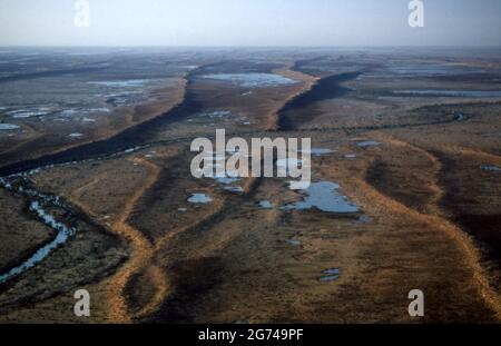 AERIAL OF THE FLOOD PLAINS AND PARALLEL SAND DUNES OF THE SIMPSON DESERT, CENTRAL AUSTRALIA. Stock Photo