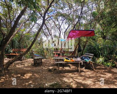 Wooden picnic table and benches surrounded by trees in rainforest mountain. A place to relax for people hiking in tropical forest or jungle. Gunung Pa