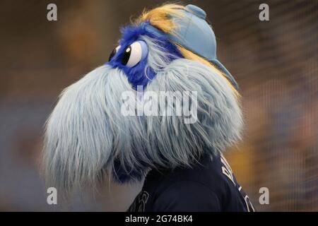 St. Petersburg, FL. USA; Tampa Bay Rays mascot Raymond was on the field  prior to a major league baseball game against the Toronto Blue Jays, Sunday  Stock Photo - Alamy