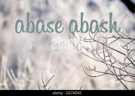The words differ by only one letter Stock Photo