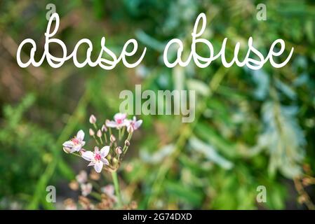 The words differ by only one letter Stock Photo
