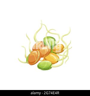 Sprouted bean, soy legume food, soybean seeds realistic flat cartoon icon. Vector sprouted beans of soy or pea legumes, healthy vegetarian food. Grown Stock Vector