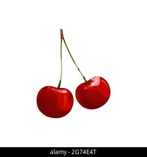 Cherry berries isolated vector wild or garden ripe plant. Cartoon fresh two cherries on green stem, healthy food, organic natural raw production, merr Stock Vector