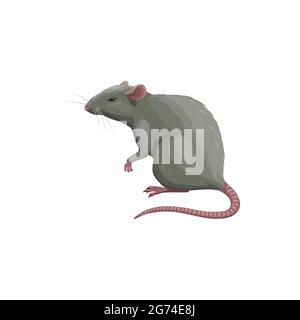 Rat icon, pest control extermination, deratization and disinsection service, isolated vector. Rat rodent and vermin animal, domestic and agriculture p Stock Vector