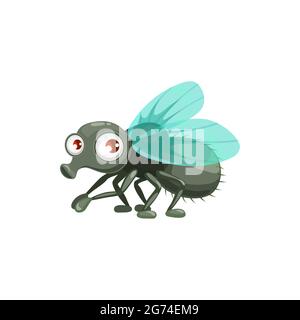 Cartoon fly vector icon, funny insect with cute face and big eyes. Pest control service mascot, design element. Wild flying creature isolated on white Stock Vector