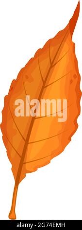 Autumn leaf vector icon, cartoon foliage, fallen tree leaf of orange color, design element isolated natural botanical object on white background, sign Stock Vector