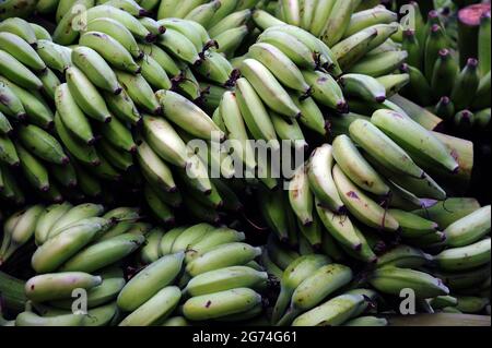 March 01,2015 Mumbai India Banana is an edible fruit – botanically a berry – produced by several kinds of large herbaceous flowering plants Stock Photo