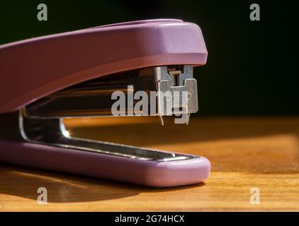 Single Stapler Isolated On White Background A New Purple Stapler Without  Shadow Stock Photo - Download Image Now - iStock