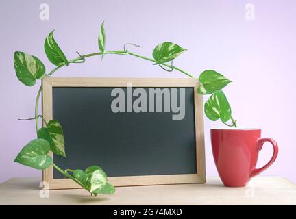 Good morning coffee in red cup with blank blackboard and green plants for copy space.