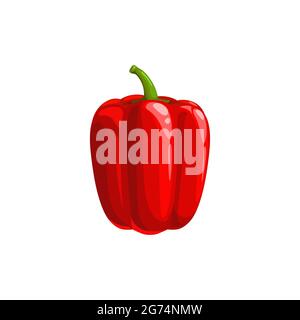 Sweet bulgarian pepper isolated veggie realistic design. Vector edible bellpepper, raw organic natural capsicum bell pepper. Ripe vegetable, vegetaria Stock Vector