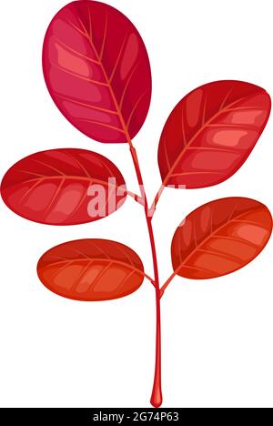 Autumn acacia leaf vector icon, cartoon foliage, fallen tree leaf of red color, design element isolated natural object on white background, sign Stock Vector