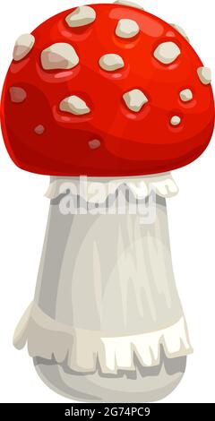 Mushroom amanita vector icon, cartoon fly agaric toxic forest plant with red and white mottled cap. Autumn season symbol, botanical object isolated on Stock Vector