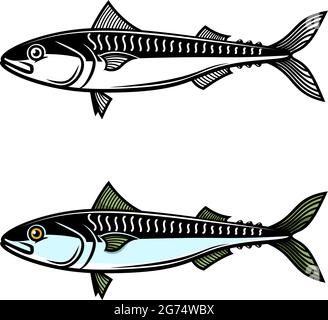 Illustration of mackerel. Design element for logo, label, sign, emblem, poster. Vector illustration Stock Vector