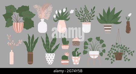 Colorful set of houseplants in pot. Vector illustrations of Indoor plants in flowerpot collection. Flowers and cactus in pot in flat cartoon style. Is Stock Vector