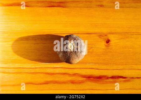Dried tangerines on the table Stock Photo