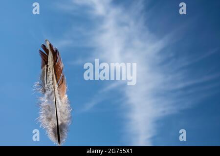 Beautiful Cirrus cloud formation and feather on 24th April 2021 in Studley, United Kingdom. Cirrus clouds are thin, wispy strands of cloud that form in streaks across the sky forming at very high altitudes. Stock Photo