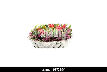 Installation of artificial autumn leaves and grass with amanita mushrooms in a basket. Basket with autumn composition isolated on white background. Stock Photo