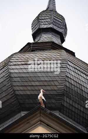 Willersdorf, Germany. 11th July, 2021. A stork sits on the roof of St. Bartholomew's Church. Credit: Nicolas Armer/dpa/Alamy Live News Stock Photo