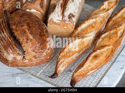 A bunch of freshly baked bread Stock Photo